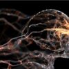stimulation electrique nerf vague reduction inflammation chronique
