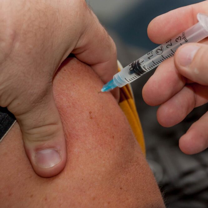 vaccin grippe alzheimer