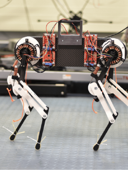 chien robot apprend marcher en une heure