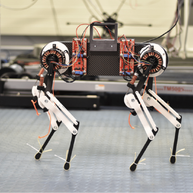 chien robot apprend marcher en une heure
