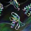 ia proteines vaccins medicaments