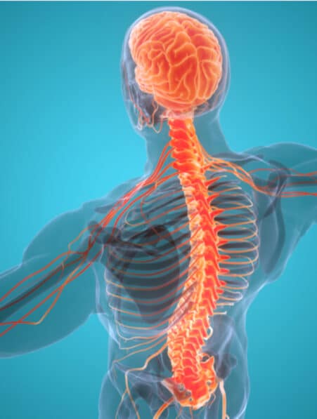 médicament anticancer lésion nerveuse rachis