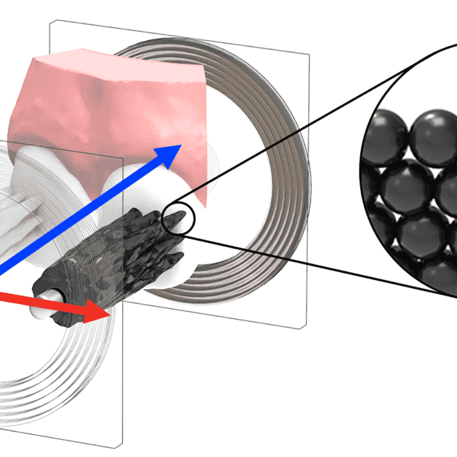 microrobots laveurs de dents