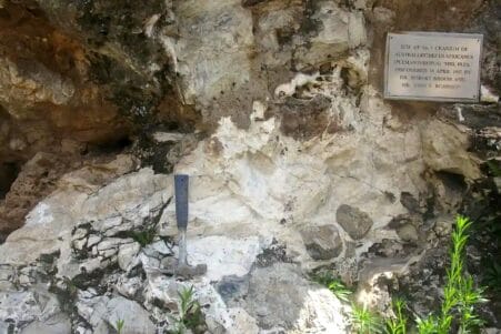 nouvelles datations repoussent age australopitheques million annees