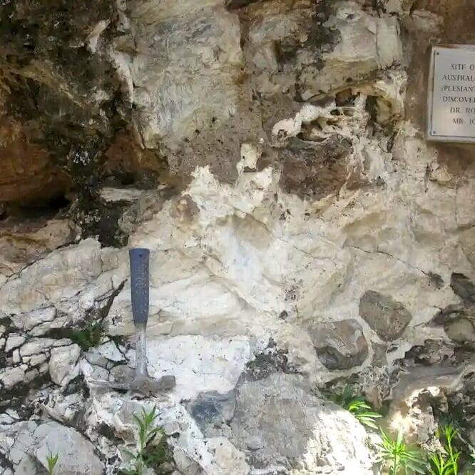 nouvelles datations repoussent age australopitheques million annees
