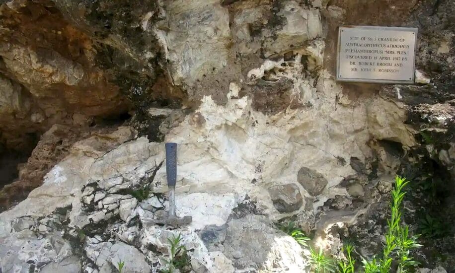nouvelles datations repoussent age australopitheques million annees