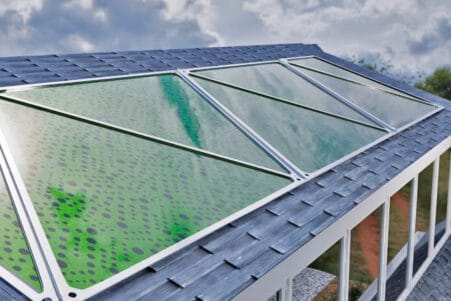 panneaux solaires microalgues