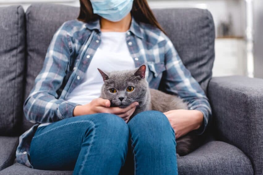 premiere preuve transmission coronavirus chat homme couv