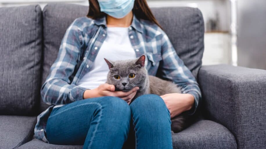 premiere preuve transmission coronavirus chat homme couv