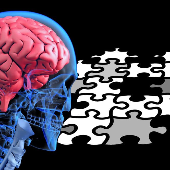 traitements TDAH Alzheimer