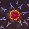 anticorps sw186 neutraliser tout variants covid 19 couv