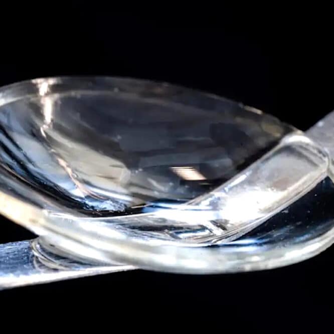 bio-implant cornee artificielle collagene porcin rendre vision parfaite