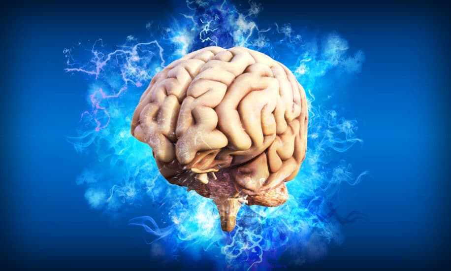 cerveau machine prédictions langage