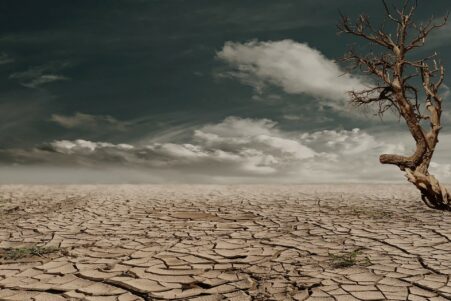 chaleur extrême terre inhabitable