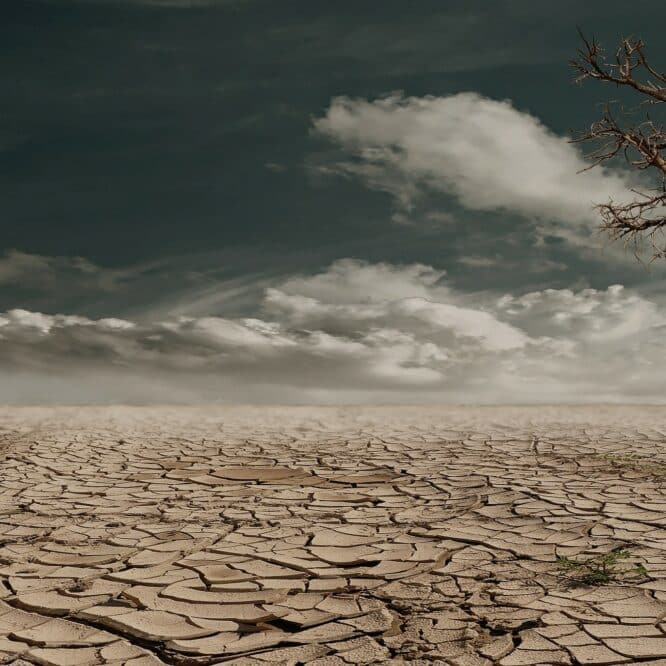 chaleur extrême terre inhabitable