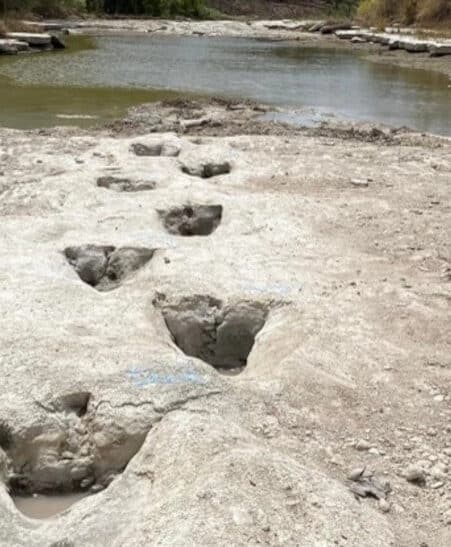 empreintes dinosaures texas sécheresse