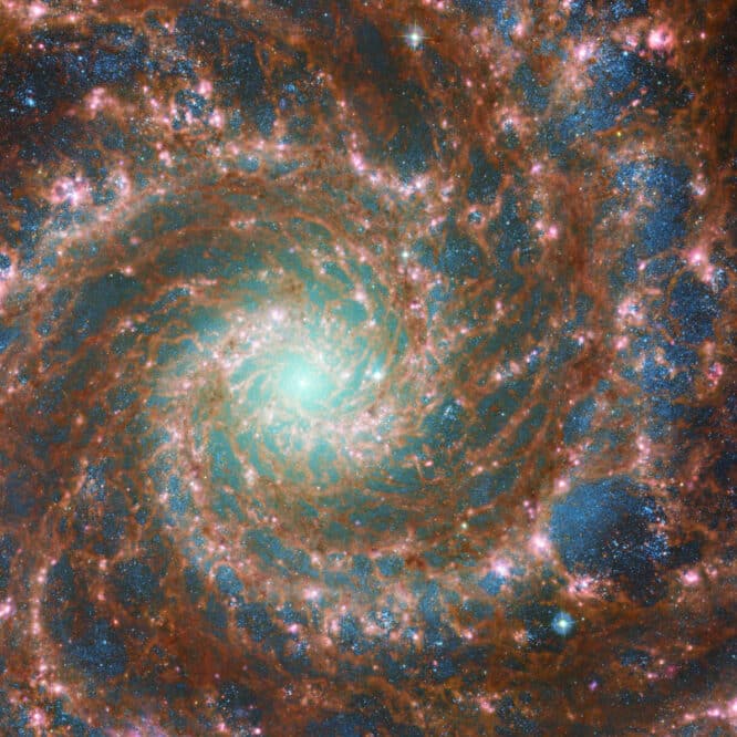 galaxie m74 fantome image spectaculaire webb hubble