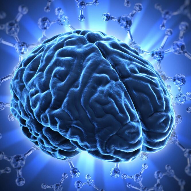 glioblastome hydrogel injectable therapeutique survie couv