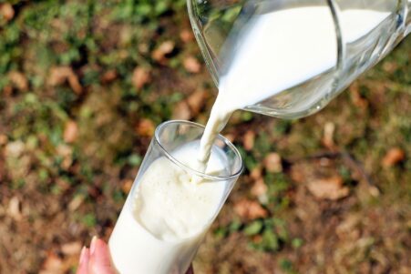 laits synthetiques bousculent industrie laitiere