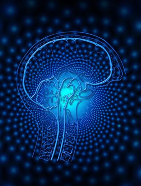 ordinateur quantique cerveau humain