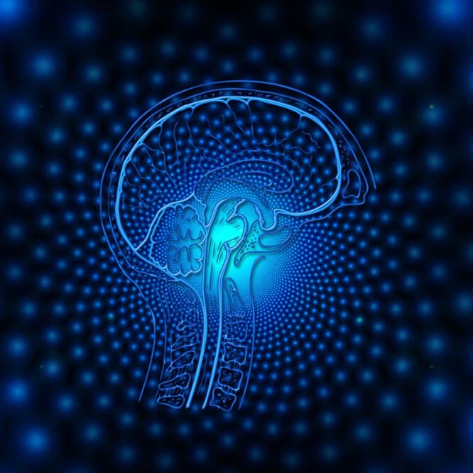 ordinateur quantique cerveau humain