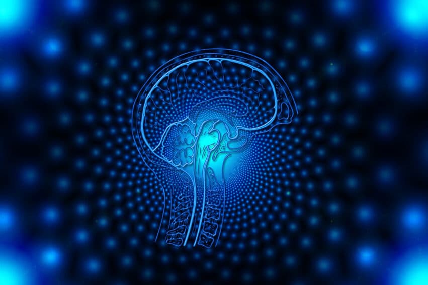 ordinateur quantique cerveau humain