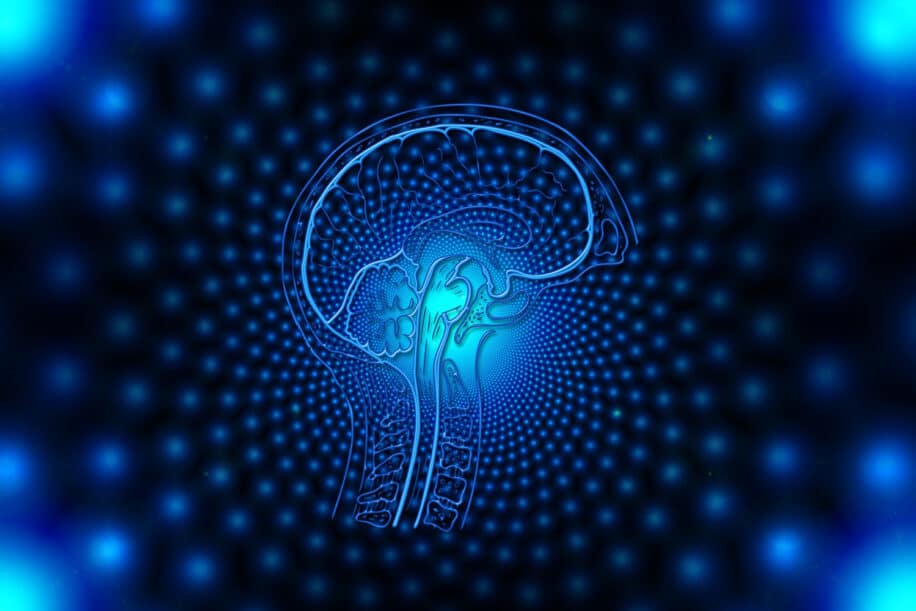 ordinateur quantique cerveau humain