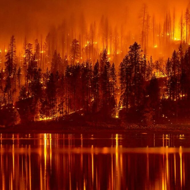 qu est ce qu un mega feu couv