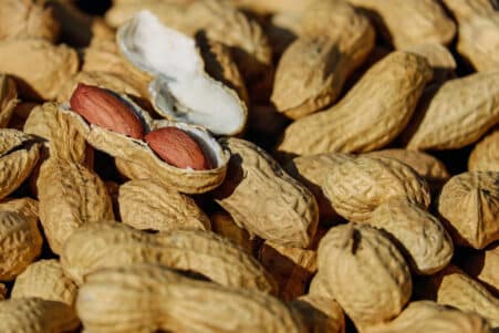 traitement allergie arachide microbiome souris