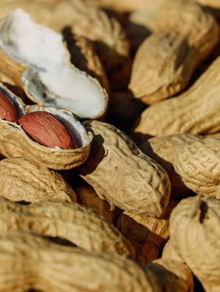 traitement allergie arachide microbiome souris
