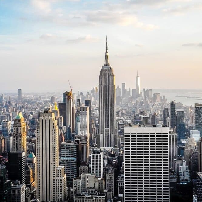 variole singe new york urgence