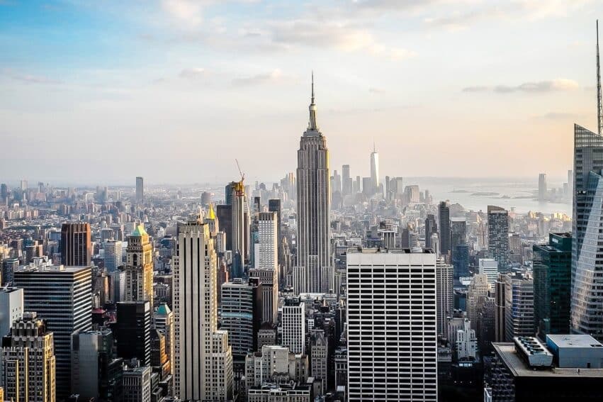 variole singe new york urgence