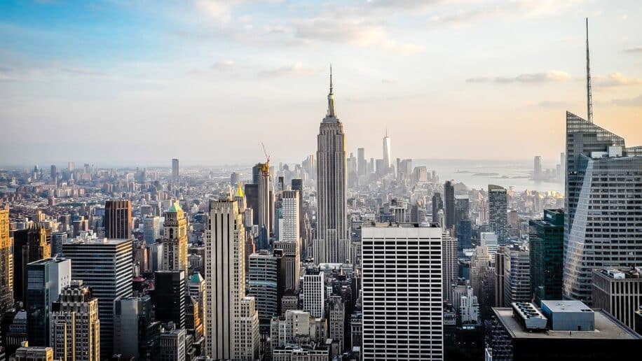 variole singe new york urgence