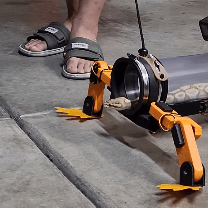 youtubeur fabrique exosquelette rendre pattes serpent