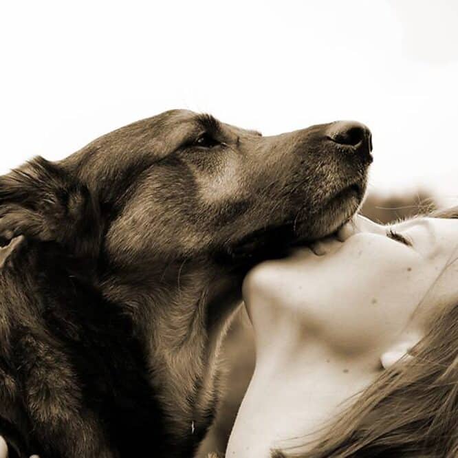 chien pleure de joie maitre