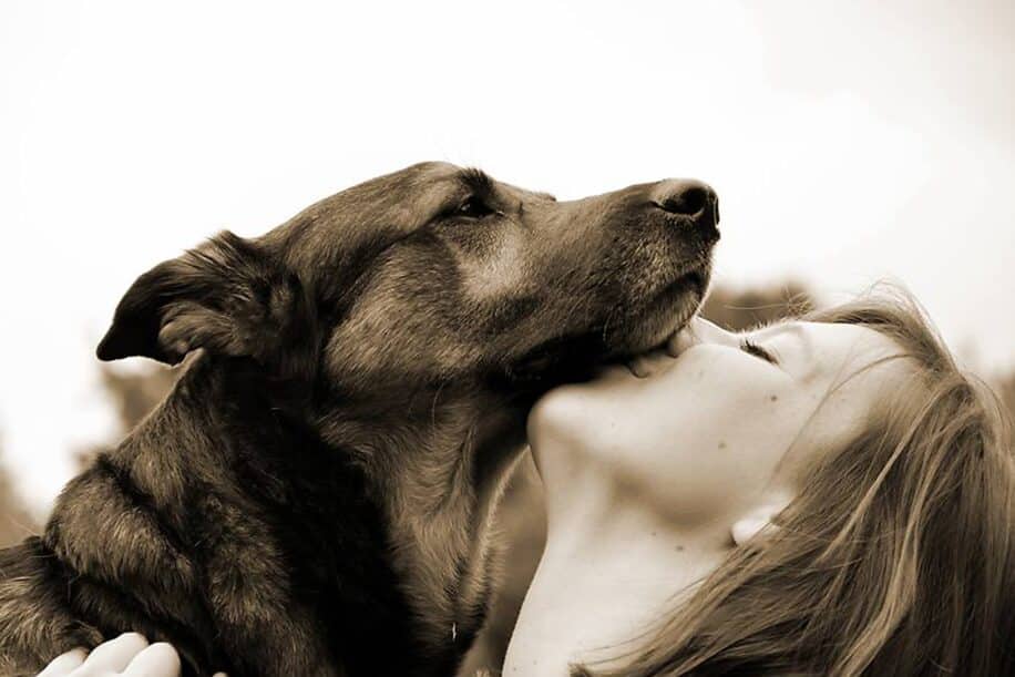 chien pleure de joie maitre