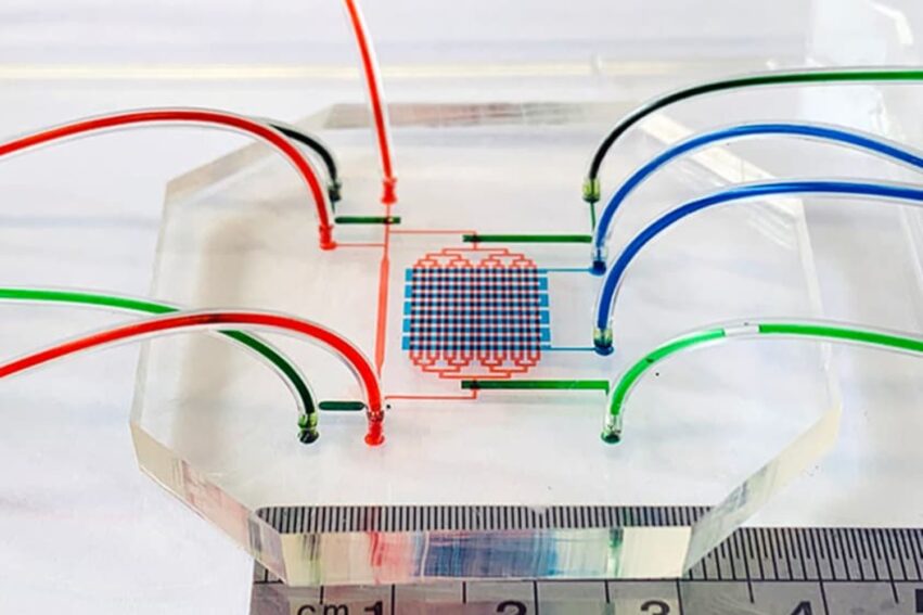 creer cellules souches sanguines demande systeme cardiaque embryon artificiel couv
