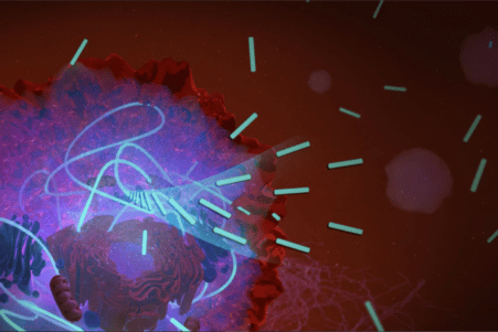 nanostructure molecule asphyxie cellule cancereuse couv