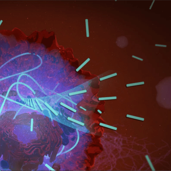 nanostructure molecule asphyxie cellule cancereuse couv