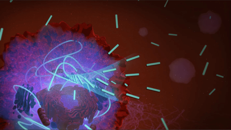 nanostructure molecule asphyxie cellule cancereuse couv