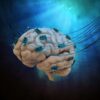 prothese cerebrale restaurer memoire cerveau endommage couv
