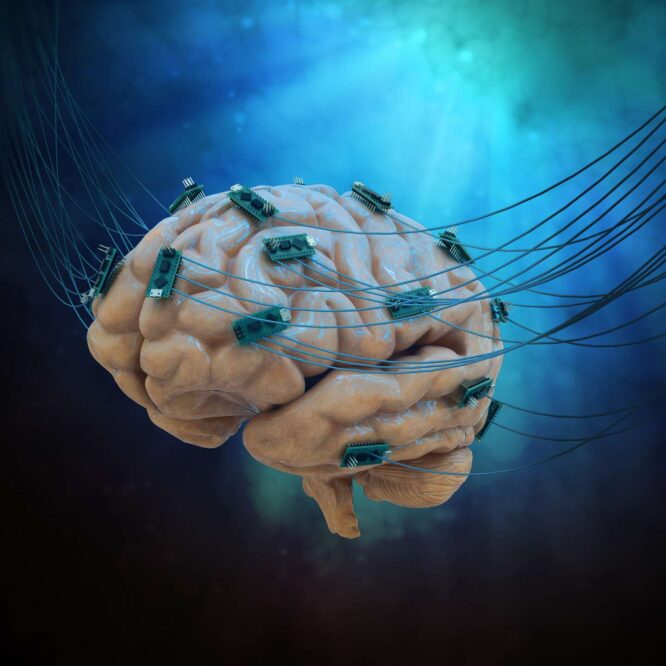 prothese cerebrale restaurer memoire cerveau endommage couv