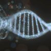 prouesse medicale crispr in vivo traitement unique couv