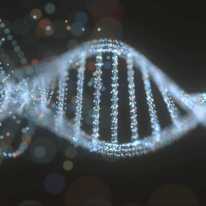 prouesse medicale crispr in vivo traitement unique couv