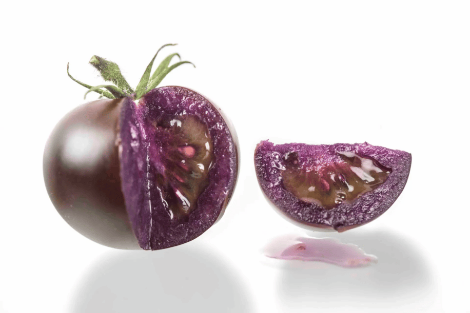 tomates violettes genetiquement modifiees approuvees etats unis