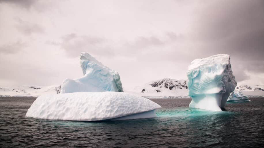 ADN sédimentaire antarctique