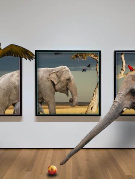 animaux intelligents apprendre