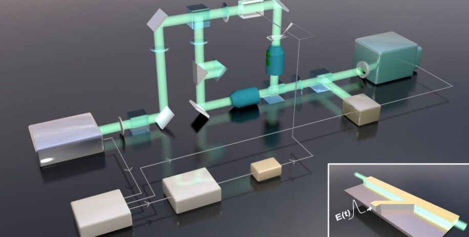 camera ultrarapide neurone influx nerveux