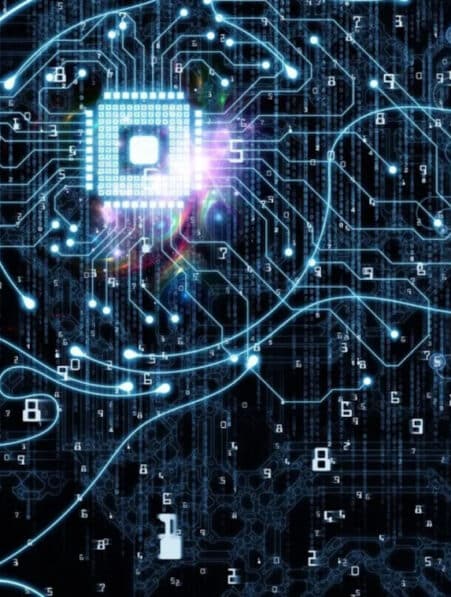cerveau système quantique