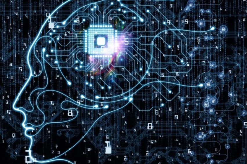 cerveau système quantique